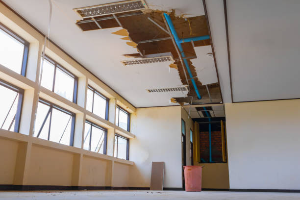Best Local water damage restoration  in Town And Country, MO