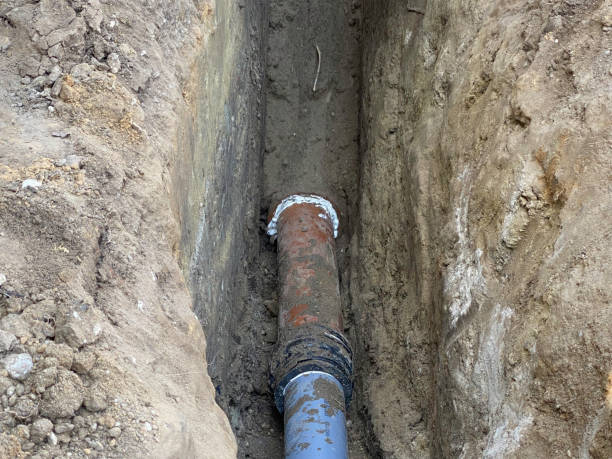 Best 24/7 water damage repair  in Town And Country, MO