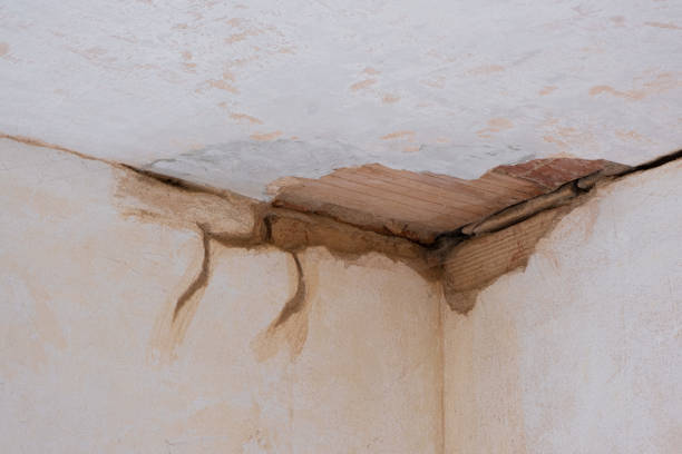 Best Water damage restoration mold remediation  in Town And Country, MO