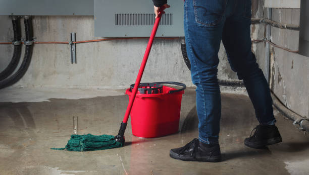 Best Water damage repair service  in Town And Country, MO