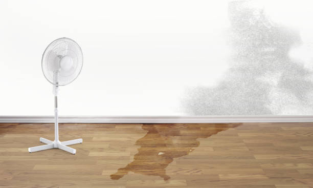 Best Fire Damage Restoration  in Town And Country, MO